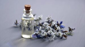 Як зробити гідрофільне масло для обличчя своїми руками: рецепти і способи застосування