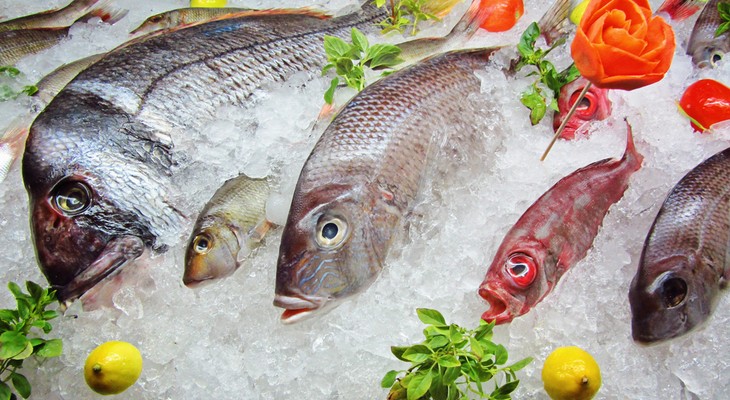Риба і рибні продукти